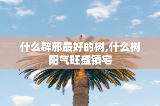 什么辟邪最好的树,什么树阳气旺盛镇宅