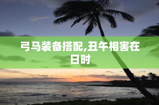 弓马装备搭配,丑午相害在日时
