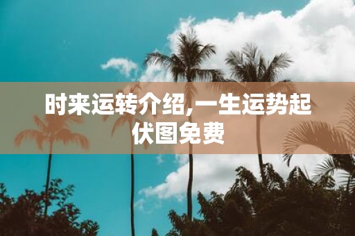 时来运转介绍,一生运势起伏图免费