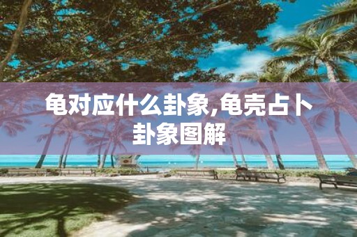 龟对应什么卦象,龟壳占卜卦象图解