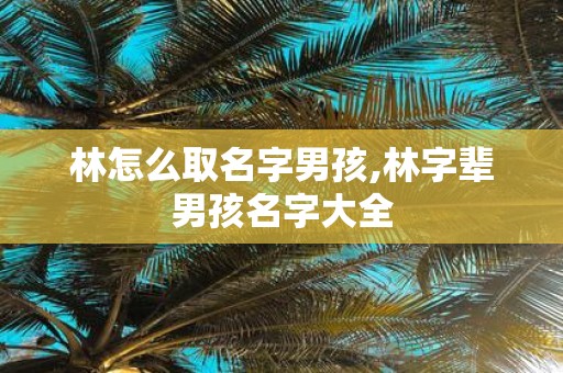 林怎么取名字男孩,林字辈男孩名字大全