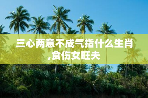 三心两意不成气指什么生肖,食伤女旺夫