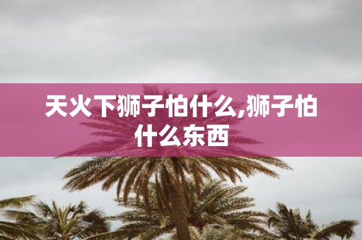 天火下狮子怕什么,狮子怕什么东西
