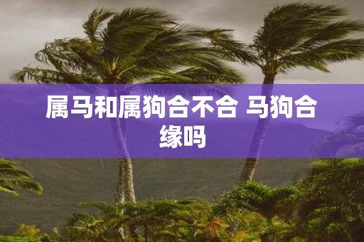 属马和属狗合不合 马狗合缘吗