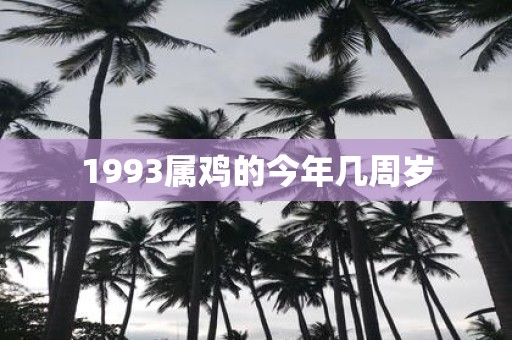 1993属鸡的今年几周岁