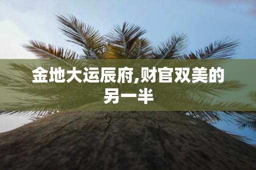 金地大运辰府,财官双美的另一半