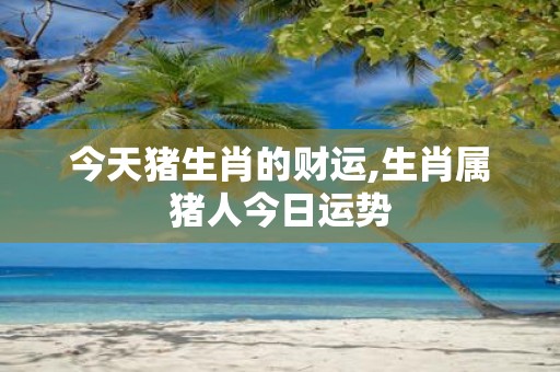今天猪生肖的财运,生肖属猪人今日运势
