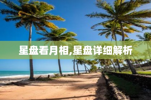 星盘看月相,星盘详细解析