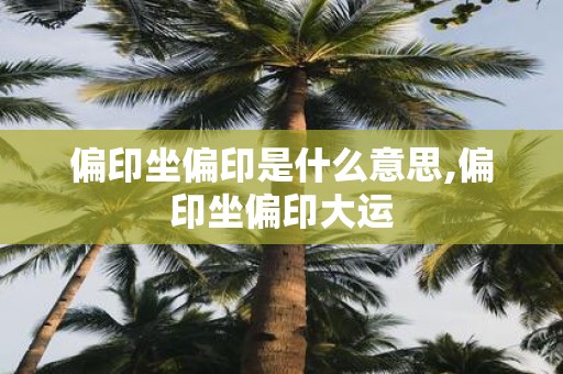 偏印坐偏印是什么意思,偏印坐偏印大运