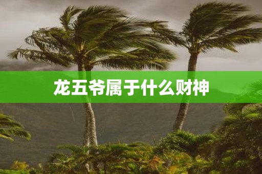 龙五爷属于什么财神