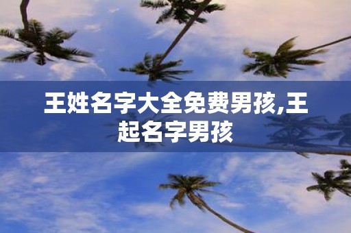王姓名字大全免费男孩,王起名字男孩