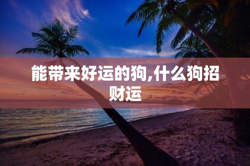 能带来好运的狗,什么狗招财运
