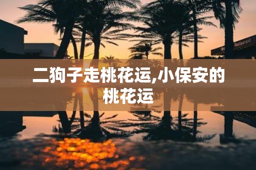 二狗子走桃花运,小保安的桃花运