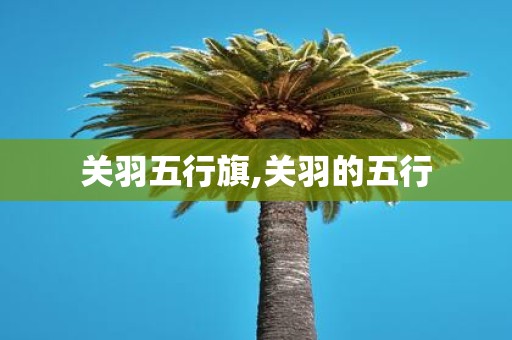 关羽五行旗,关羽的五行