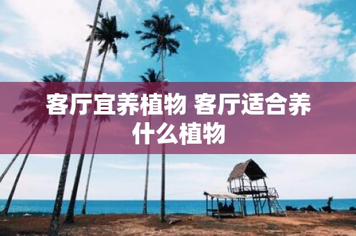 客厅宜养植物 客厅适合养什么植物