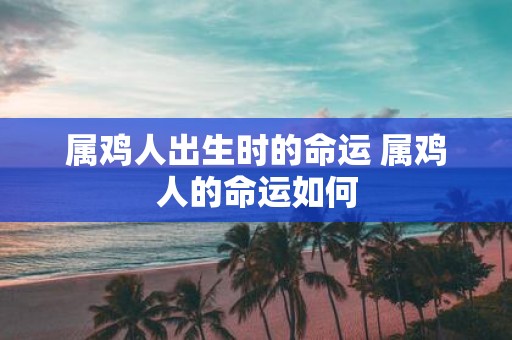 属鸡人出生时的命运 属鸡人的命运如何