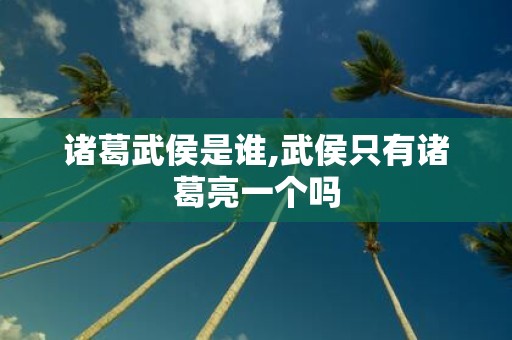 诸葛武侯是谁,武侯只有诸葛亮一个吗
