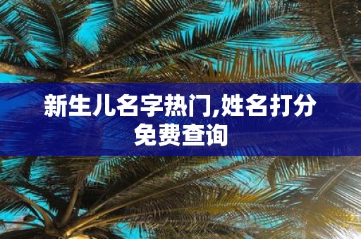 新生儿名字热门,姓名打分免费查询