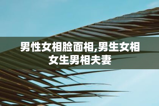 男性女相脸面相,男生女相女生男相夫妻