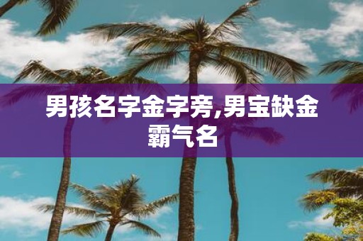 男孩名字金字旁,男宝缺金霸气名