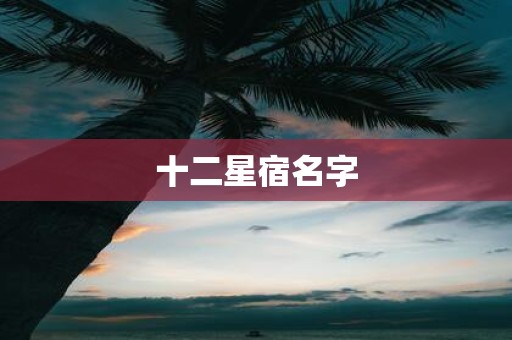 十二星宿名字