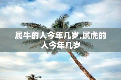 属牛的人今年几岁,属虎的人今年几岁