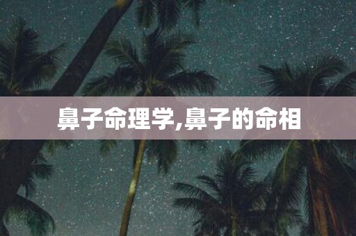 鼻子命理学,鼻子的命相