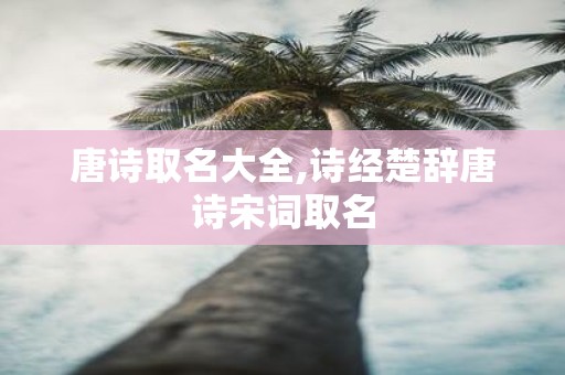 唐诗取名大全,诗经楚辞唐诗宋词取名