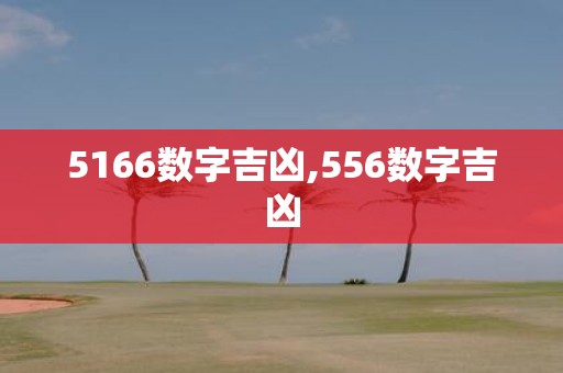 5166数字吉凶,556数字吉凶