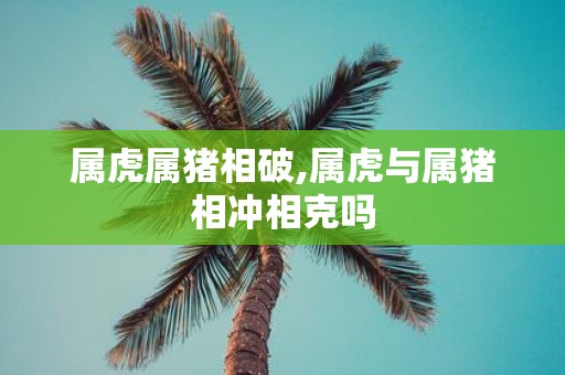 属虎属猪相破,属虎与属猪相冲相克吗