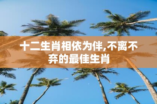 十二生肖相依为伴,不离不弃的最佳生肖