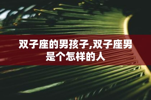 双子座的男孩子,双子座男是个怎样的人