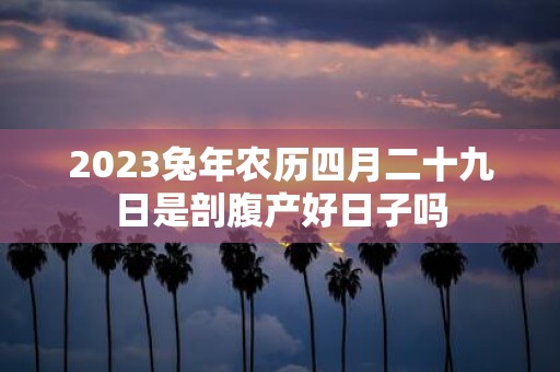 2025蛇年农历四月二十九日是剖腹产好日子吗