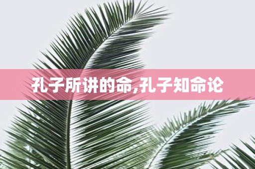 孔子所讲的命,孔子知命论