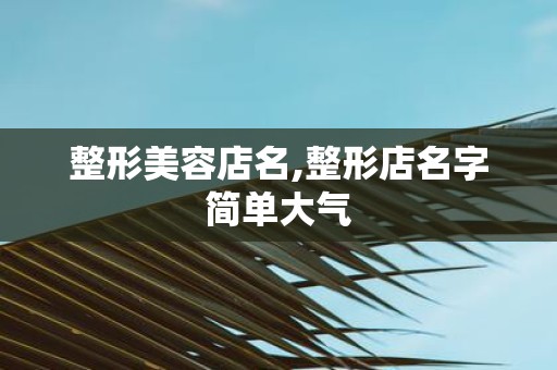 整形美容店名,整形店名字简单大气