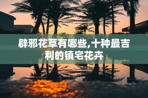 辟邪花草有哪些,十种最吉利的镇宅花卉