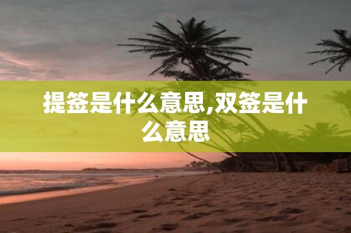 提签是什么意思,双签是什么意思