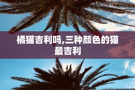 橘猫吉利吗,三种颜色的猫最吉利