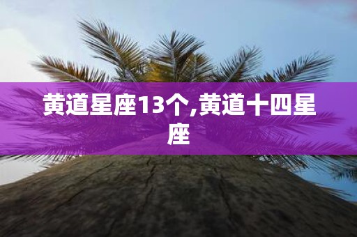 黄道星座13个,黄道十四星座