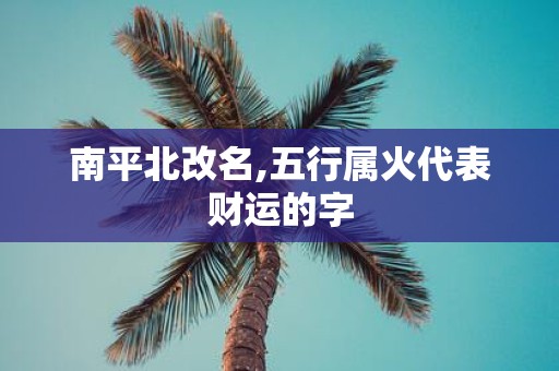 南平北改名,五行属火代表财运的字
