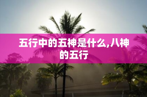 五行中的五神是什么,八神的五行