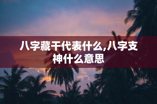 八字藏干代表什么,八字支神什么意思