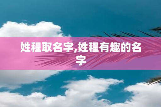 姓程取名字,姓程有趣的名字