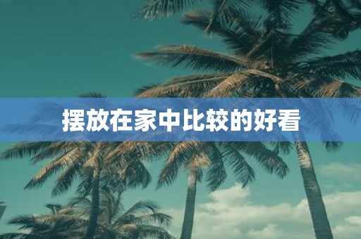 摆放在家中比较的好看