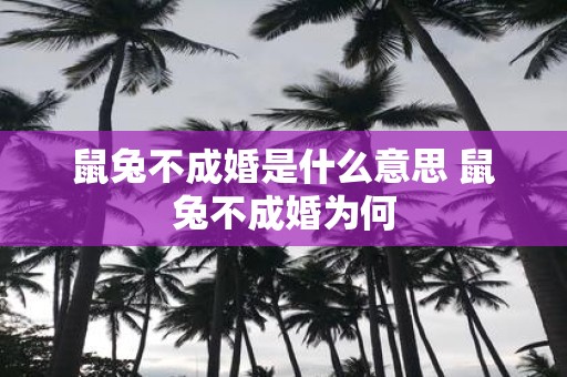 鼠兔不成婚是什么意思 鼠兔不成婚为何