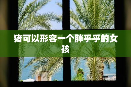 猪可以形容一个胖乎乎的女孩