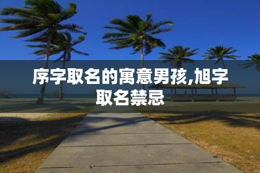 序字取名的寓意男孩,旭字取名禁忌