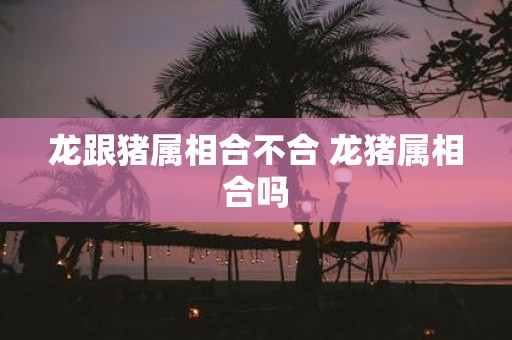 龙跟猪属相合不合 龙猪属相合吗
