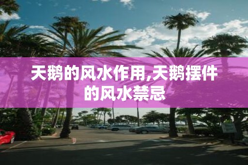 天鹅的风水作用,天鹅摆件的风水禁忌