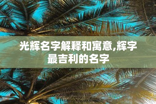 光辉名字解释和寓意,辉字最吉利的名字